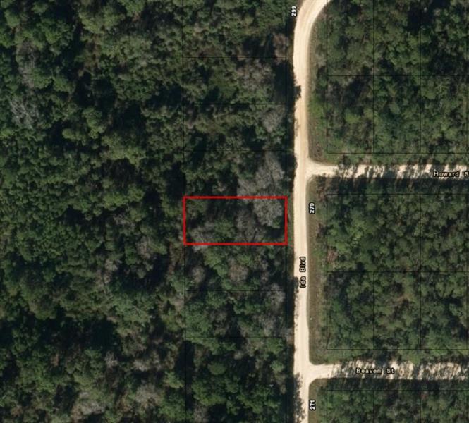 Ida Boulevard Interlachen FL 32148