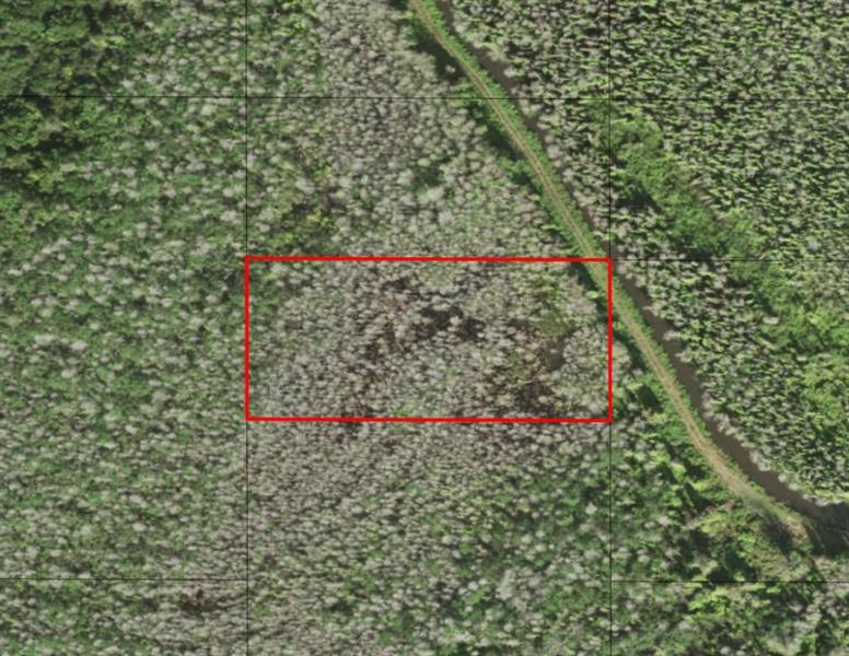 Holopaw Groves Road St. Cloud FL 34772