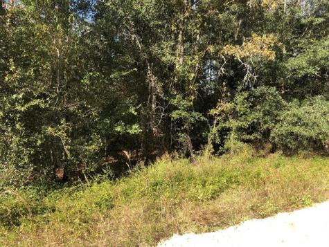 Evans Avenue Interlachen FL 32148