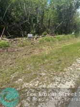00 SE 10 Avenue Naples FL 34117