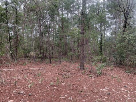 Citrus Street Interlachen FL 32148