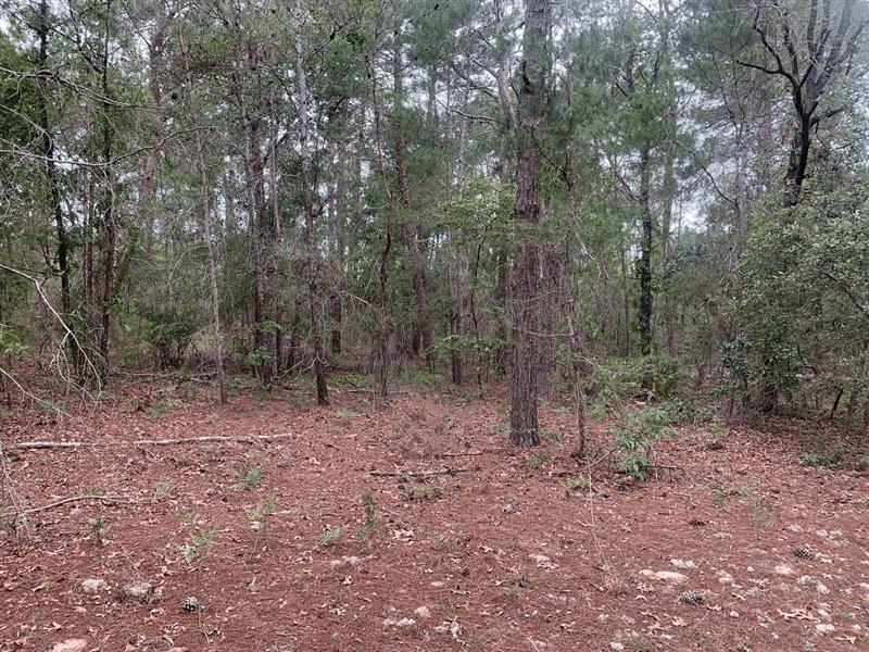 Citrus Street Interlachen FL 32148