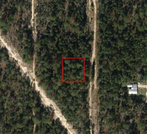 Citrus Street Interlachen FL 32148