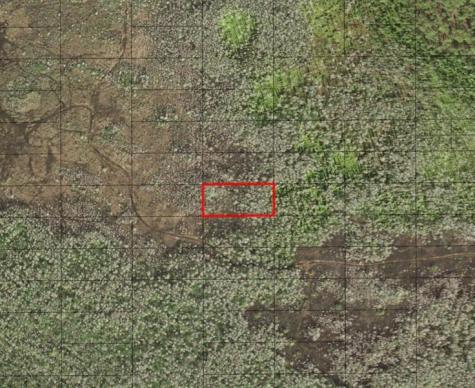 Holopaw Groves Road St. Cloud FL 34772