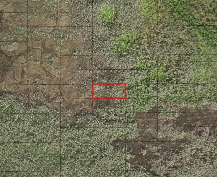 Holopaw Groves Road St. Cloud FL 34772