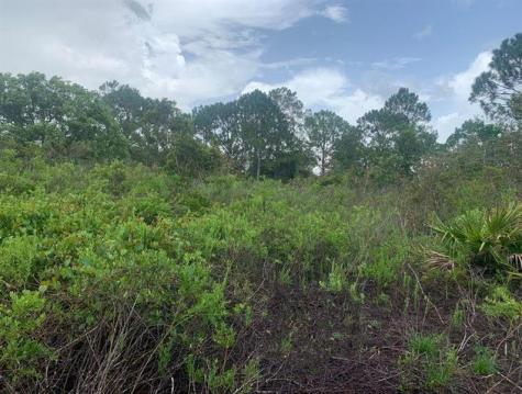 4105 Nogales Avenue Sebring FL 33872