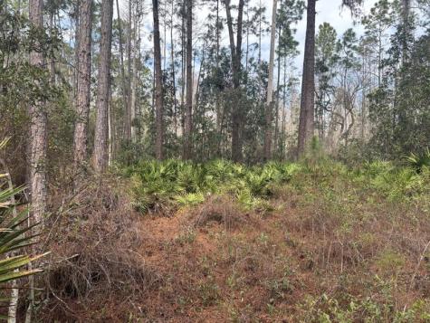 Old Grade Road Other City - In The State Of Florida FL 33868