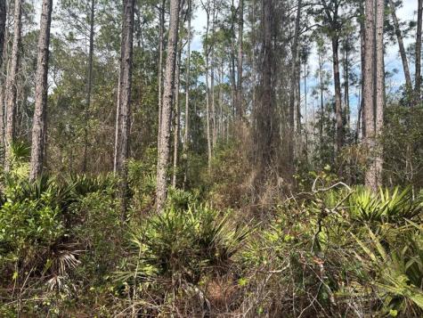 Old Grade Road Other City - In The State Of Florida FL 33868