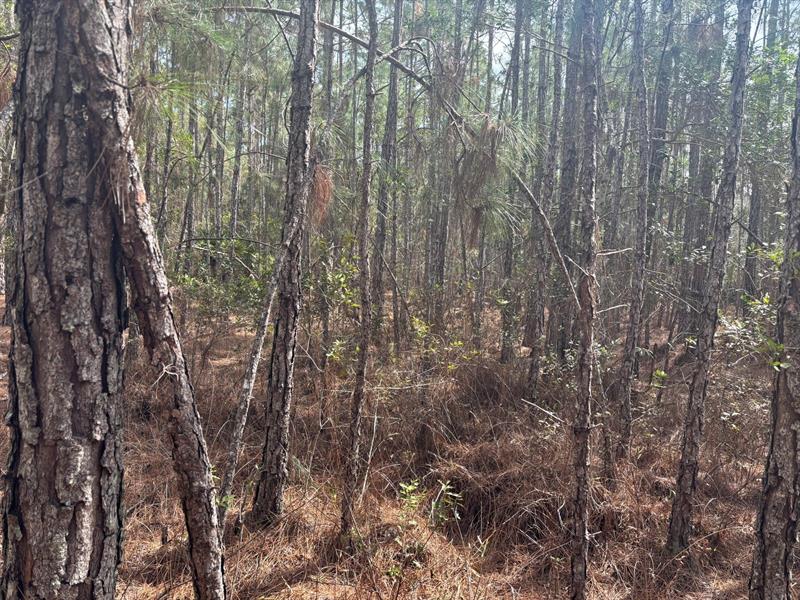 Old Grade Road Other City - In The State Of Florida FL 33868