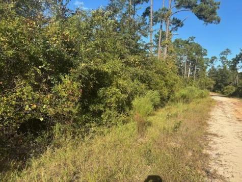 Mulberry Drive Marianna FL 32448