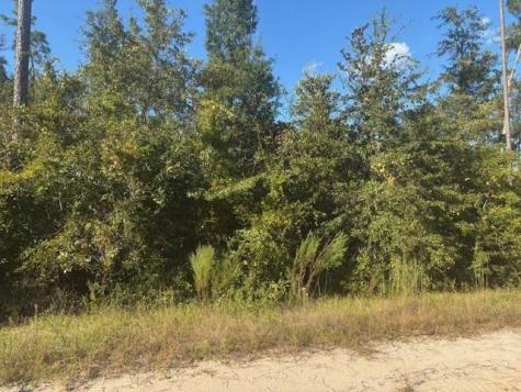 Mulberry Drive Marianna FL 32448