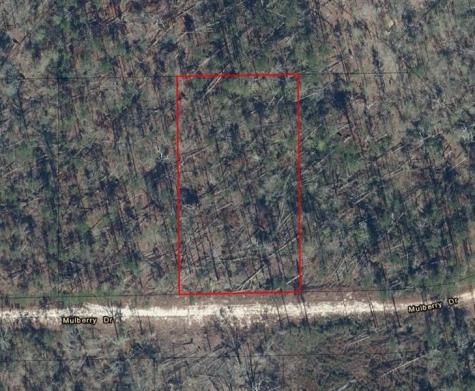 Mulberry Drive Marianna FL 32448