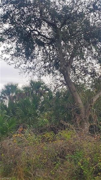 315 Ivanhoe Avenue LaBelle FL 33935
