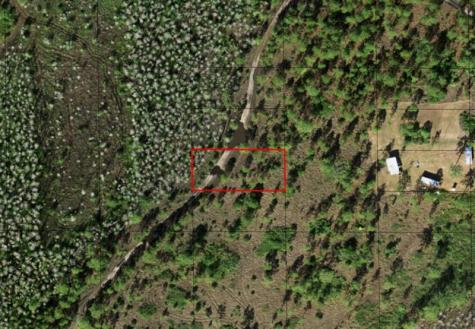 Holopaw Groves Road St. Cloud FL 34772