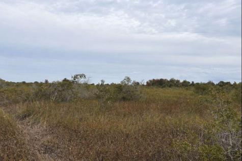 NW 310th Street Okeechobee FL 34972