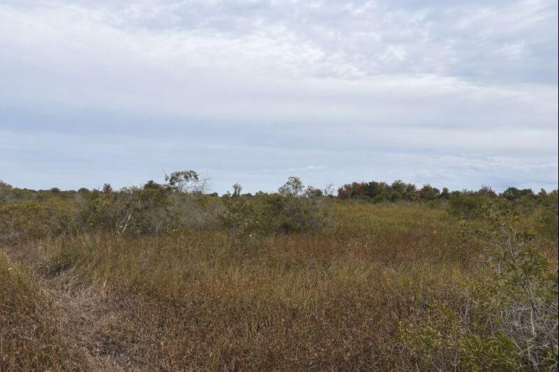 NW 310th Street Okeechobee FL 34972