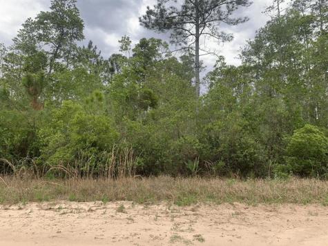W Basford Street Interlachen FL 32148