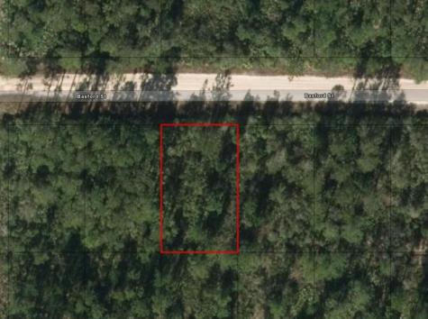 W Basford Street Interlachen FL 32148