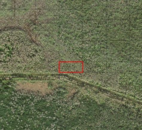 Holopaw Groves Road St. Cloud FL 34772