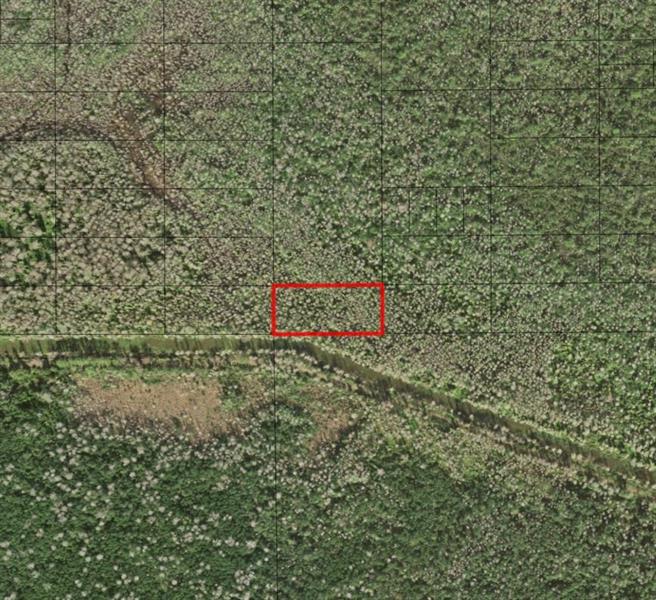 Holopaw Groves Road St. Cloud FL 34772
