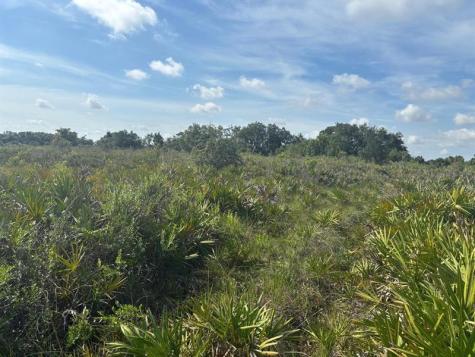 NW 310th Street Okeechobee FL 34972