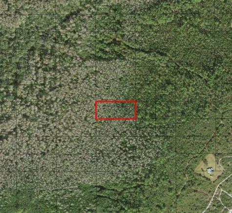 Holopaw Groves Road St. Cloud FL 34772