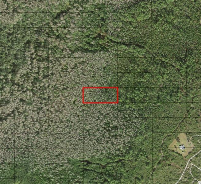 Holopaw Groves Road St. Cloud FL 34772