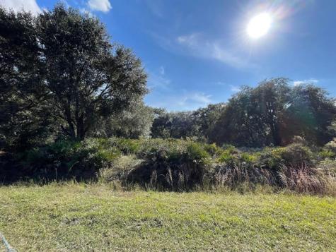 18516 NW 310th Street Okeechobee FL 34972