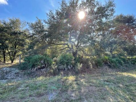 18516 NW 310th Street Okeechobee FL 34972