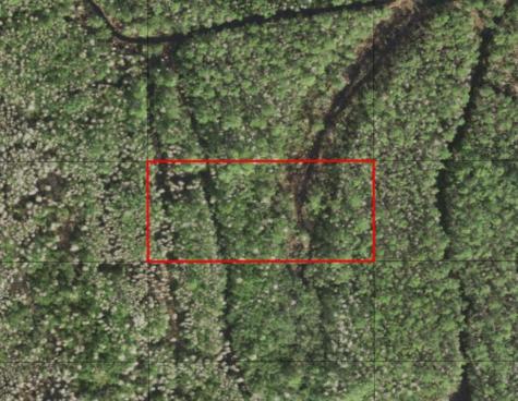 Holopaw Groves Road St. Cloud FL 34772