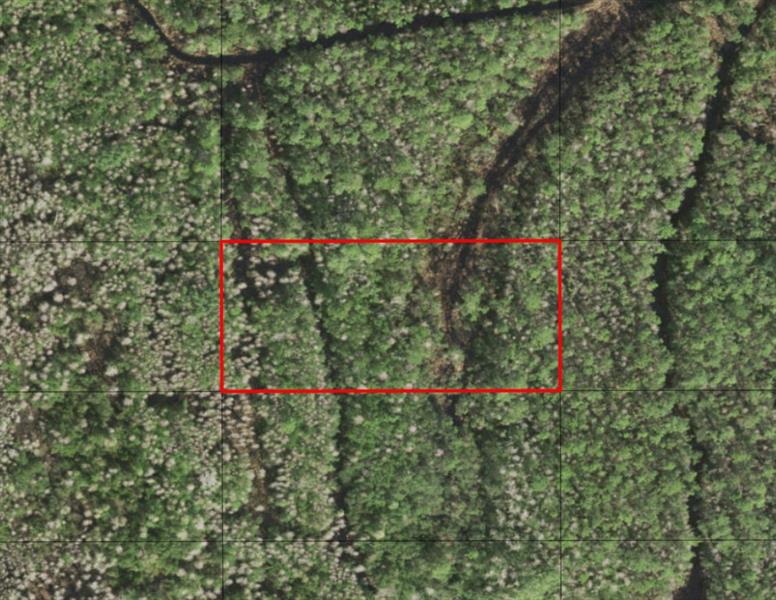 Holopaw Groves Road St. Cloud FL 34772