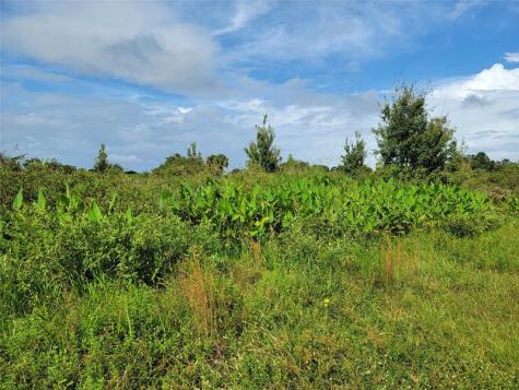 17275 NW 260th Street Okeechobee FL 34972