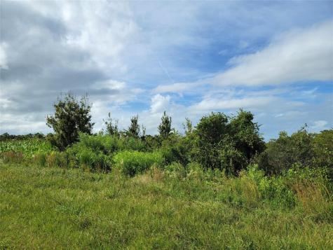 17275 NW 260th Street Okeechobee FL 34972