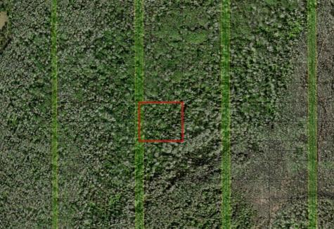 Holopaw Groves Road St. Cloud FL 34772