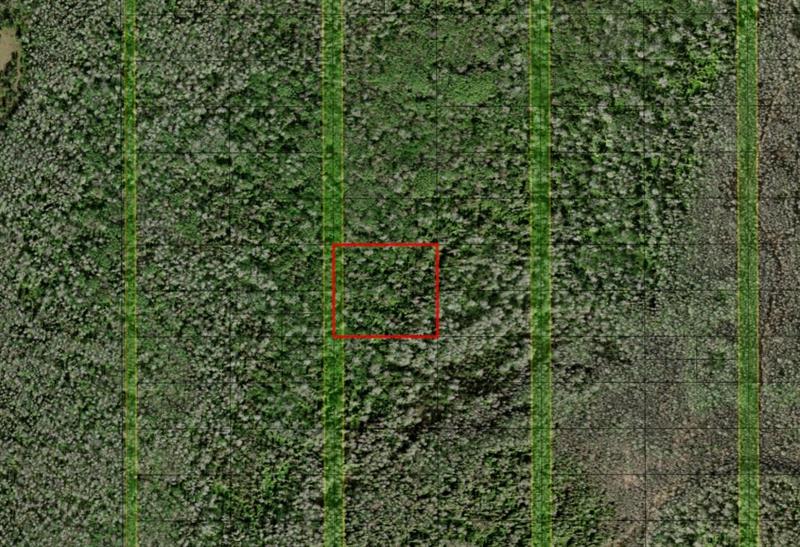 Holopaw Groves Road St. Cloud FL 34772