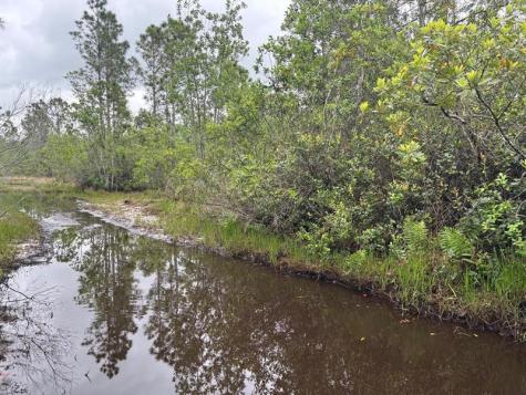 Holopaw Groves Road St. Cloud FL 34772