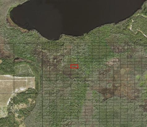 Holopaw Groves Road St. Cloud FL 34772