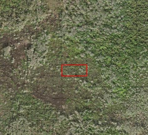 Holopaw Groves Road St. Cloud FL 34772