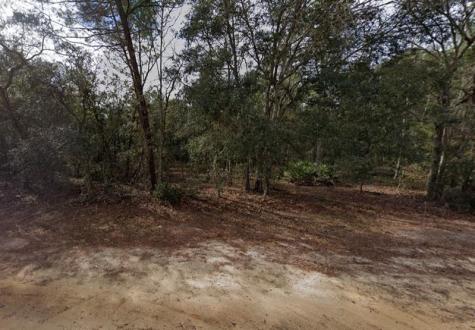 917 David Avenue Other City - In The State Of Florida FL 32148