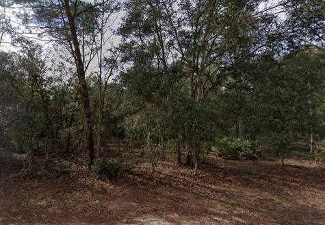 917 David Avenue Other City - In The State Of Florida FL 32148
