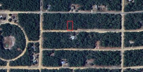 917 David Avenue Other City - In The State Of Florida FL 32148