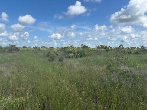 NW 318th Street Okeechobee FL 34972