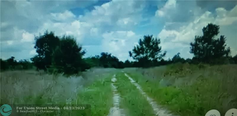 LOT D6 Palm Circle Other City - Not In The State Of Florida GA 31036