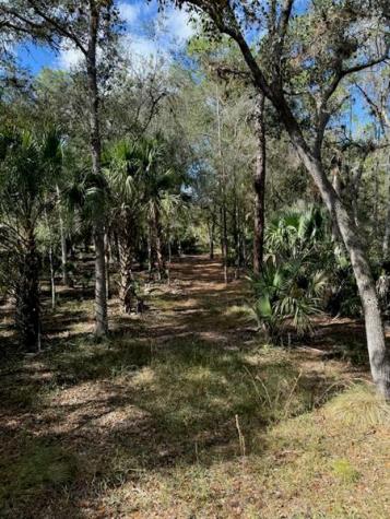 1040 Cracker Hammock Sebring FL 33875