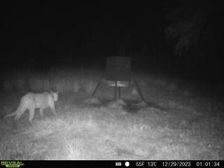 1040 Cracker Hammock Sebring FL 33875