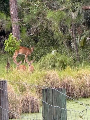 1040 Cracker Hammock Sebring FL 33875