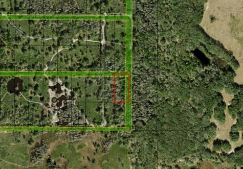 County Road 54 E Kathleen FL 33849