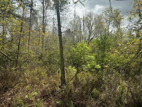 County Road 54 E Kathleen FL 33849