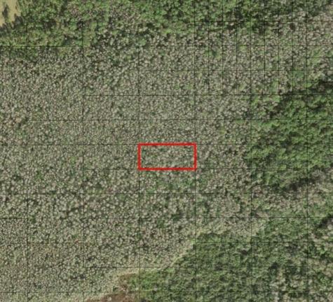 Holopaw Groves Road St. Cloud FL 34772