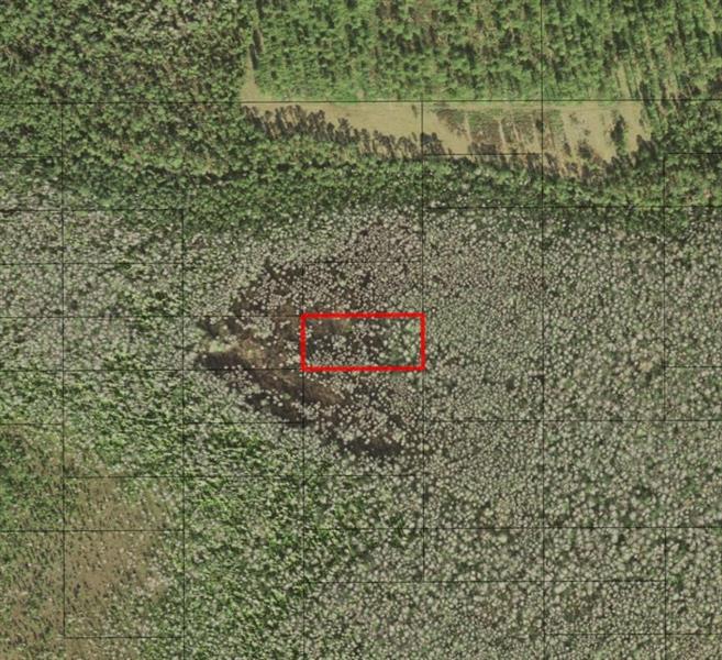 Holopaw Groves Road St. Cloud FL 34772